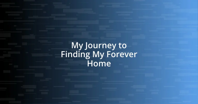 My Journey to Finding My Forever Home